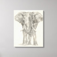 Esbozo elefante
