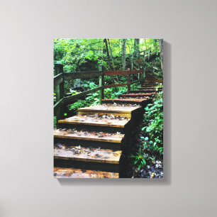 Lienzo escalera del parque estatal de las cuevas de maquo