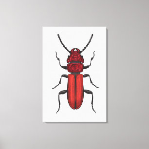 Lienzo Escarabajo rojo