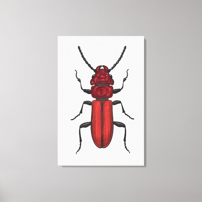 Lienzo Escarabajo rojo (Anverso)