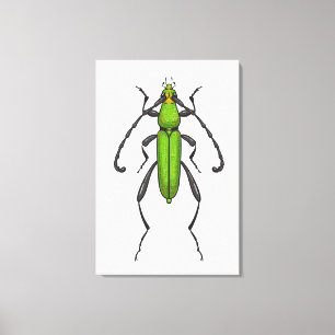 Lienzo Escarabajo verde