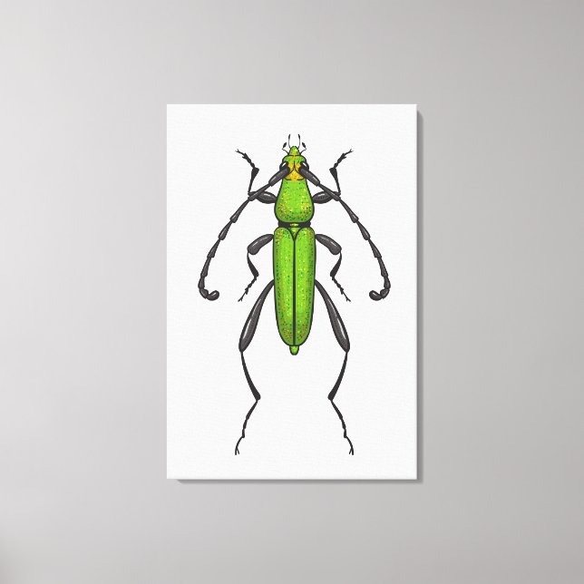 Lienzo Escarabajo verde (Anverso)