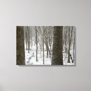 Lienzo Escena de Bosque Nevado