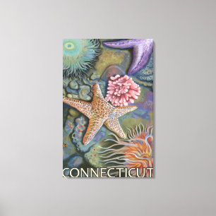 Lienzo Escena de ConnecticutTidepool