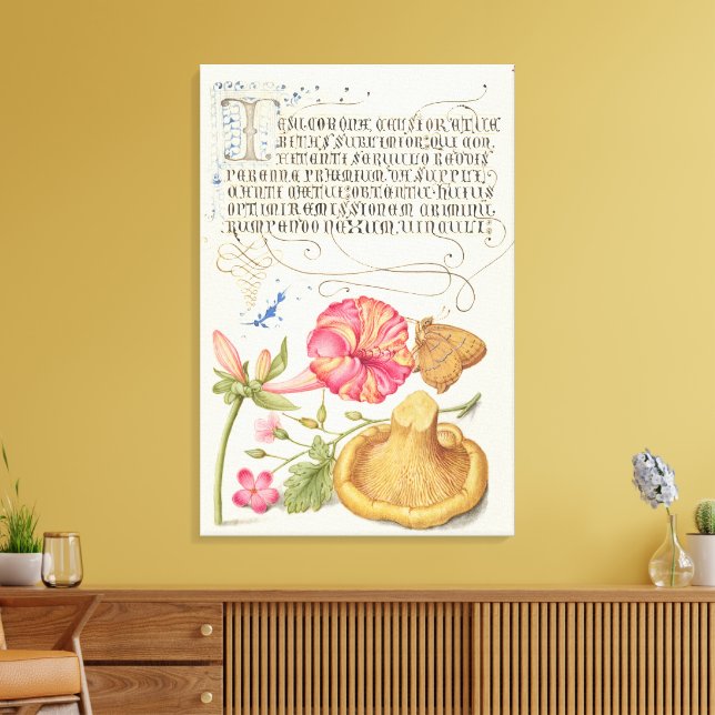 Lienzo Escena de jardín con flores, mariposa y hongo (Insitu (Sala de estar))