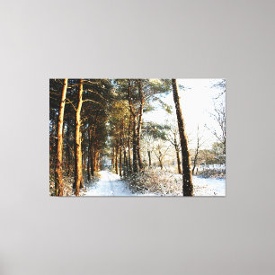 Lienzo Escena de Nieve Forestal 60x40 (150x100cm) Waccn C
