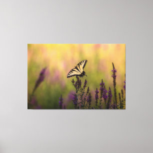 Lienzo Escena de verano, mariposa y loosestrife
