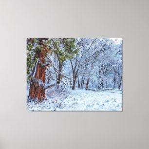 Lienzo Escena Del Bosque Snowy