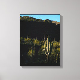 Lienzo Escena del desierto de Sonoran con Cactus gigante 
