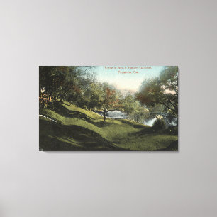 Lienzo Escena en Busch Sunken Gardens