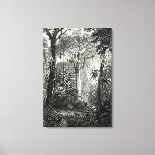Lienzo Escena en un bosque brasileño grabado por (Anverso)