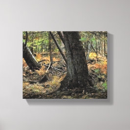 Lienzo Escena forestal de otoño          