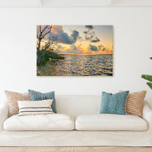 Escena oceánica de manglar de los Cayos de Florida