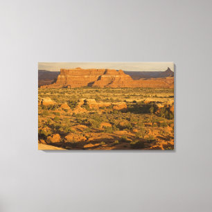 Lienzo Escenario paisaje de desierto invernal en camino