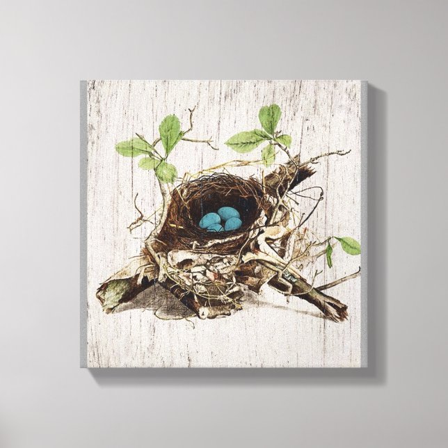 Lienzo escritura vintage ephemera bird nest french botanc (Anverso)