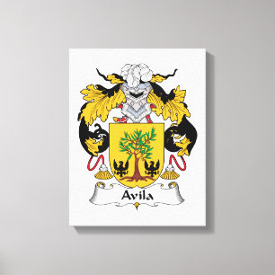 Lienzo Escudo de la familia de Ávila