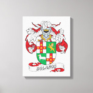 Lienzo Escudo de la familia de Bolanos