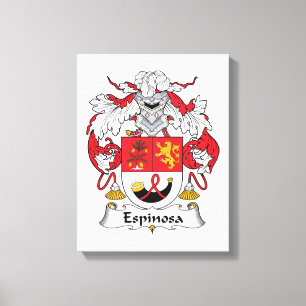 Lienzo Escudo de la familia de Espinosa