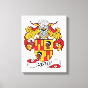 Lienzo Escudo de la familia de Javier