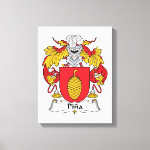 Lienzo Escudo de la familia de Pina