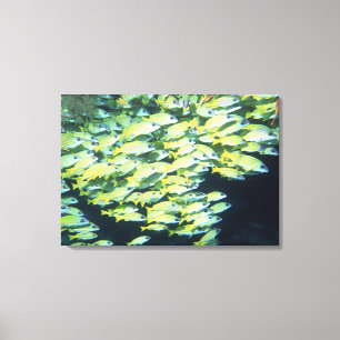 Lienzo Escuela de los pescados 7
