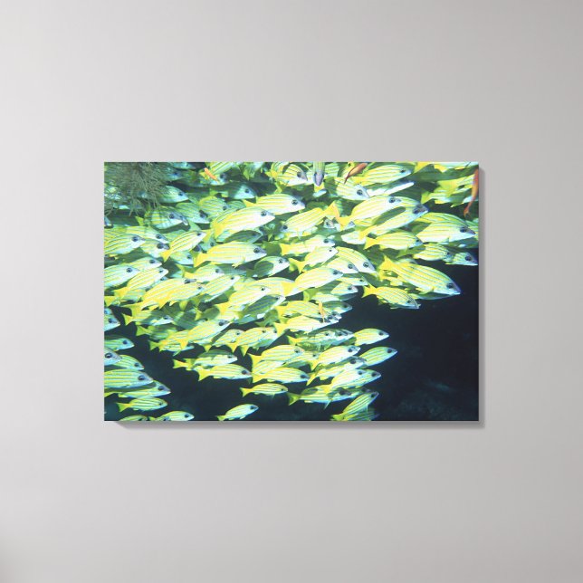 Lienzo Escuela de Pescado 7 (Anverso)