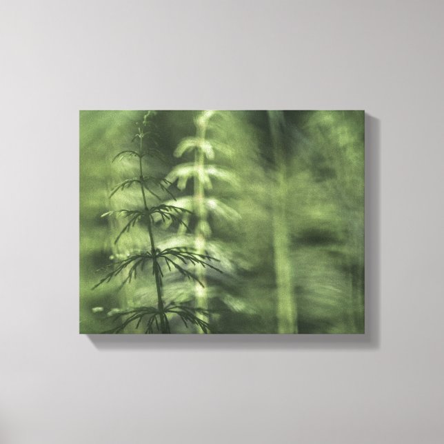 Lienzo Espalda de cola de caballo Foto verde floral (Anverso)