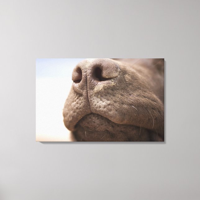 Lienzo España, Costa Blanca, cierre del chocolate (Anverso)