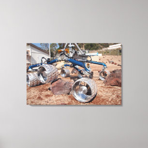 Lienzo Espantapájaros, un modelo de la movilidad-prueba