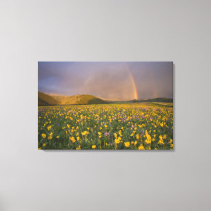 Lienzo Espectacular prado de flores silvestres al amanece