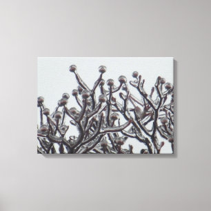 Lienzo Esperando La Primavera — Árbol Dogwood En Hielo