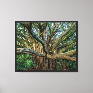 Lienzo Esperanza y Resiliencia - Árbol de Banyan Pipiwai