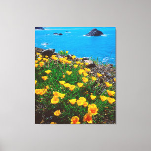 Lienzo Espías a lo largo de la costa del Pacífico