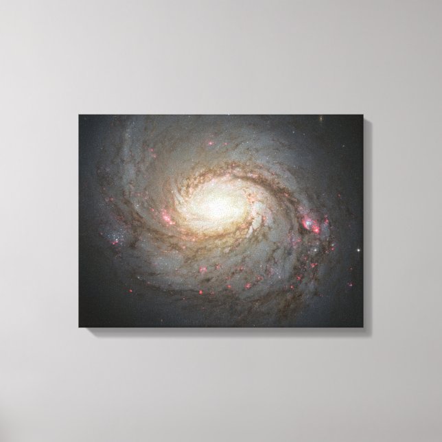 Lienzo Espiral Galaxia espacio Universo Estrellas Black H (Anverso)