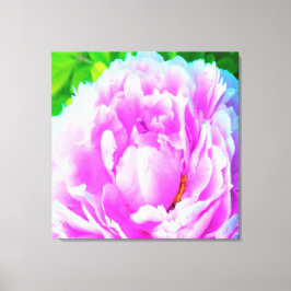 Lienzo Espléndido detalle de flor de peones rosados doble