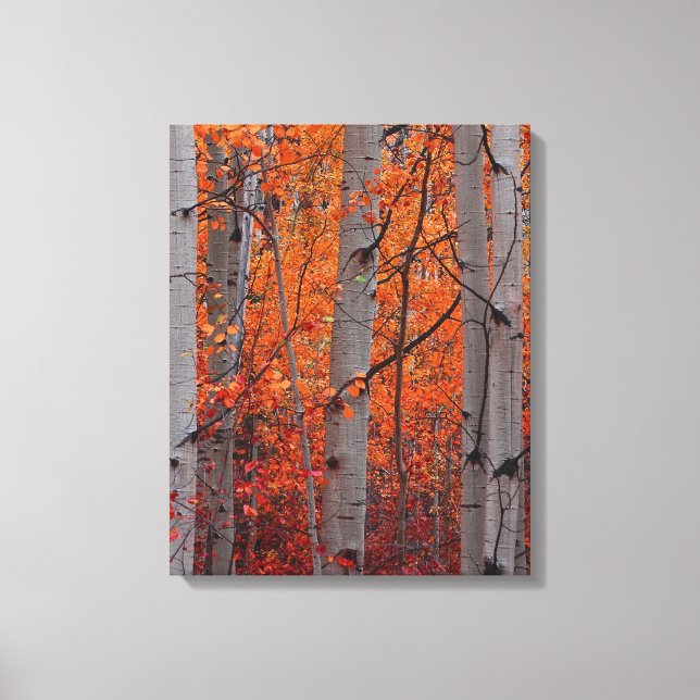 Lienzo Esplendor de otoño (Anverso)