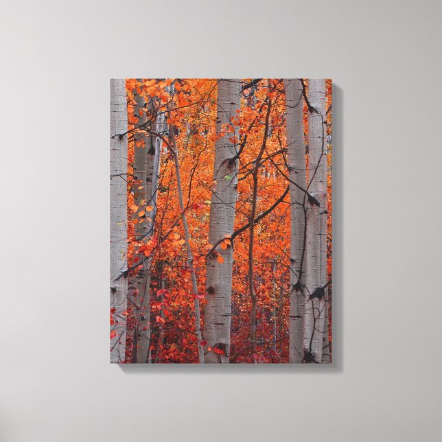 Lienzo Esplendor de otoño (Anverso)