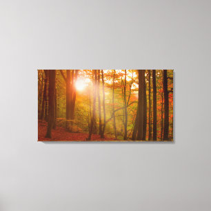 Lienzo Esplendor del otoño