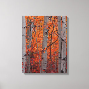 Lienzo Esplendor del otoño