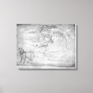 Lienzo Espolón y jefe de un espolón