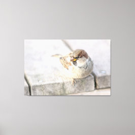 Lienzo Espuma - Después del Transatlántico