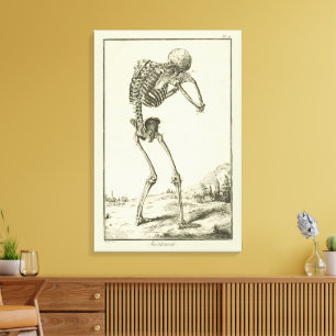 Lienzo Esqueleto Antiguo, Anatomía Humana por Denis Dider