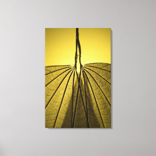 Lienzo Esqueleto de la hoja