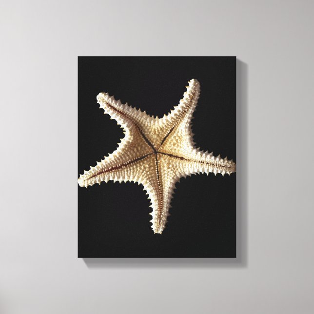 Lienzo Esqueleto de Starfish, primer plano 2 (Anverso)