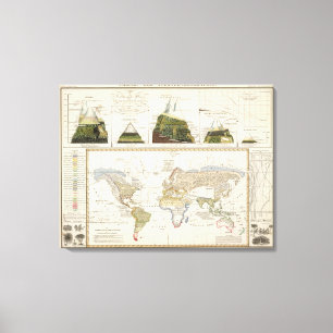 Lienzo Esquema de la geografía de la planta