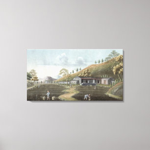 Lienzo Establecimiento del té (w/c en el papel)