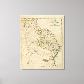 Lienzo Estado de Georgia
