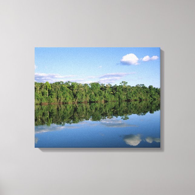 Lienzo Estado de Mato Grosso, Amazonia, Brasil. Boscoso (Anverso)