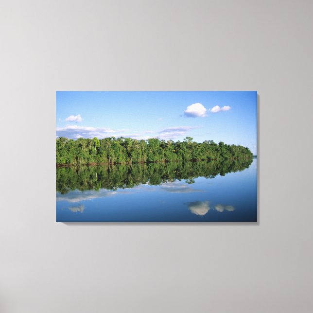 Lienzo Estado de Mato Grosso, Amazonia, Brasil. Boscoso (Anverso)