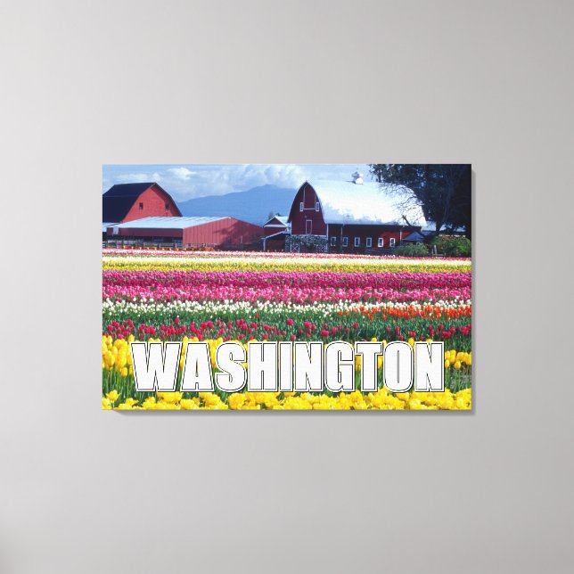 Lienzo Estado de Washington | Campo de Tulipanes (Anverso)